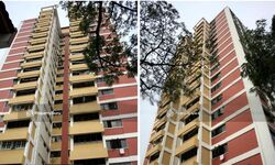 ang-mo-kio-avenue-6 photo thumbnail #2